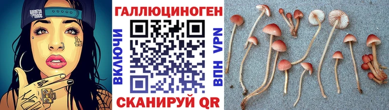 Галлюциногенные грибы мухоморы  Купить закладки  Невинномысск 